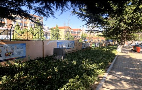深耕城市綠化管理 加強裸露土地集中治理，提升城市生態品質