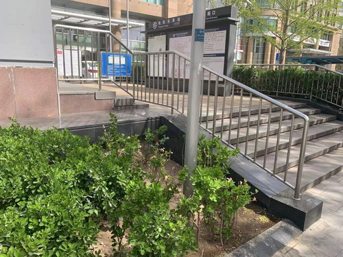 追蹤報道 城市綠化帶，犄角旮旯里的垃圾不見了——探訪城市綠化精細化管理的轉變
