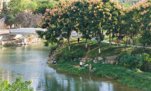 重慶南川濱河公園品質提升改造全面完成，城市綠化管理助力休閑觀光體驗全面升級