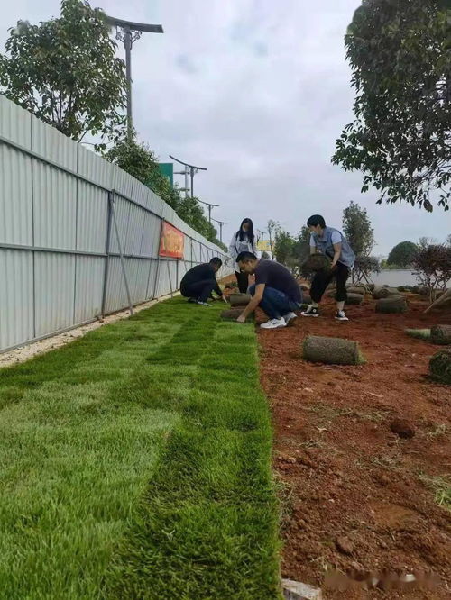 黨建引領辦實事，綠化機場路更美——市交管處黨支部開展主題黨日活動