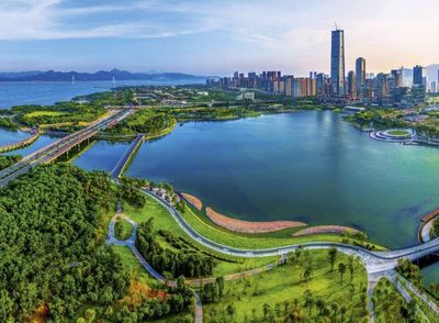 從“來了就是深圳人”到“創新生態共同體” 深圳以包容普惠理念重塑城市發展新格局